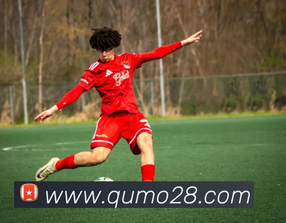 九游手机官网入口品牌故事