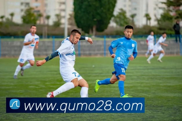 九游手机官网入口服务体系